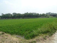 Flickriver: Photoset 2014-06-25 파주지역 답사. by KFEM photo