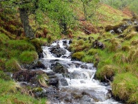 Walk Report - Catch Up in Glens Lochay & Orchy plus a Raspberry. • Walkhighlands Walk Report - Catch Up in Glens Lochay & Orchy... 