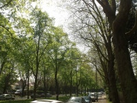 Flickriver: Photoset Pebble Mill, Edgbaston by ell brown