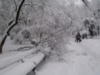  Romania | Land of Diversity - Page 6 - SkyscraperCity