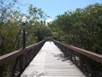  Recife (PE) - Page 508 - SkyscraperCity