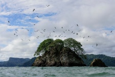 COLOMBIA | La belleza y el encanto de un país mágico! | Belezas e Encantos de um país mágico! | Page 2 | SkyscraperCity Forum... 