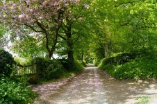  Photos of England - Page 635 - SkyscraperCity