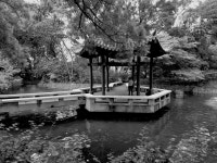  World on black & white; open thread - Page 751 - SkyscraperCity