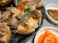 부산 여행 스냅