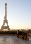  The city of Paris, France - Page 317 - SkyscraperCity