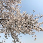 용지호수 - 용지동 - 의창구 용지로211번길 39에서의 사진