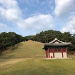 동구릉 - 인창동 - 동구릉로 197에서의 사진