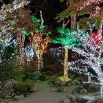 해어름 - 당진시에서 카페일에서의 사진