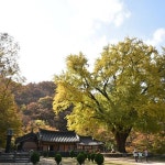 운곡서원 - 방문자 14명에서의 사진