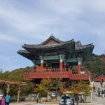 석굴암 주차장 - 불국로 873-243 석굴암 주차장