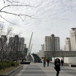 낙생육교 - 팁 2개에서의 사진