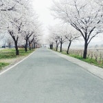 달창저수지 - 호수 달창저수지