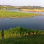 화랑유원지 (Hwa-rang lake park) - 안산시, 경기도에서의 사진