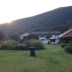 들꽃 - 조안면 북한강로626번길 56 들꽃