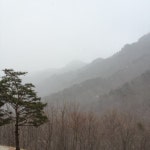 대법원 가인연수관 - 팁 2개 대법원 가인연수관
