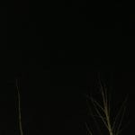 낙생육교 - 팁 2개에서의 사진