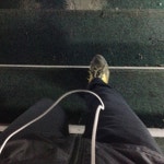 낙생육교 - 팁 2개에서의 사진