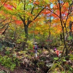 백운산장 (白雲山莊) - 덕양구 북한동 585에서의 사진