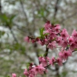 우면산 소망탑 - 양재1동 - 방문자 283명의 팁 7개에서의 사진