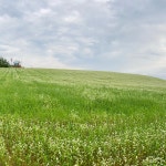 학원농장 - 농장에서의 사진