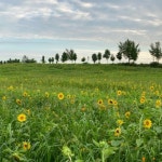 학원농장 - 농장에서의 사진
