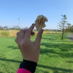 솔트베이GC (Salt Bay Golf Club) - 장곡동 - 시흥시, 경기도에서의 사진