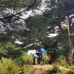 모산봉 - 강릉시, 강원도에서의 사진