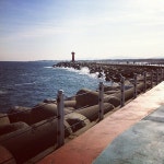 남애항 - 방문자 263명의 팁 3개 남애항