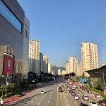 낙생육교 - 팁 2개에서의 사진