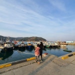 오천항 - 보령시, 충청남도에서의 사진
