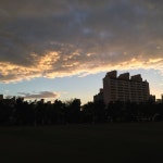 동백중학교 운동장 - 운동장 동백중학교 운동장