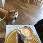 Strada Roasters - 합정동 - 마포구 월드컵로3길 14 스트라다로스터스