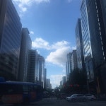 우성아파트사거리 산책길