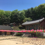 봉림사 (鳳林寺) - 남양읍 주석로80번길 139 봉림사