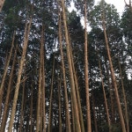 법기수원지 - Yangsan-si에서 공원일에서의 사진