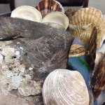 어부의집 - 방문자 28명 어부의집