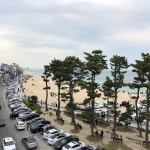 안목카페거리 - 견소동 - 방문자 373명의 팁 3개에서의 사진