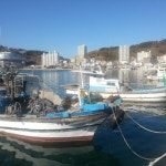 장승포유람선터미널 - 방문자 323명의 팁 4개 장승포유람선터미널