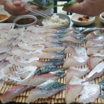 한라회센타 - 일도2동 - 팁 1개에서의 사진