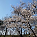 화원유원지 - 공원에서의 사진