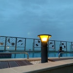 Swimming Pool - 호텔 수영장 Swimming Pool