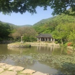 네이버 검색 결과 사진 6
