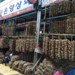 단양구경시장 - 도전리에서 시장일에서의 사진