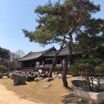 너른마당 - 방문자 172명의 팁 12개에서의 사진