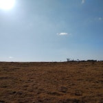 신풍목장 - 서귀포시, 제주특별자치도에서의 사진