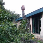 달팽이게스트하우스 - 서귀포시, 제주특별자치도 달팽이게스트하우스