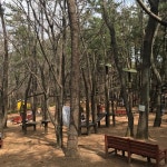 꽃마을 - 서구 대신공원로 32 꽃마을