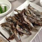 대한민국 맛집 순례 (서울 제외)