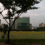 분당구청 잔디광장 - 들판에서의 사진